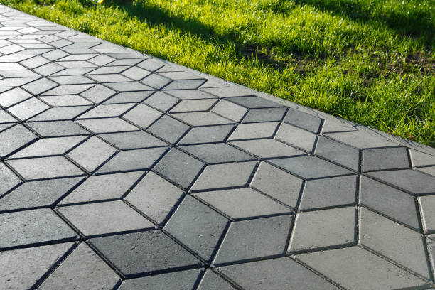 Best Driveway Paving Contractor  in Litchfield, MN