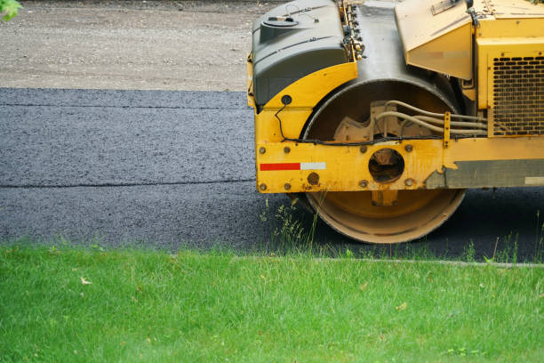Best Residential Paver Driveway  in Litchfield, MN