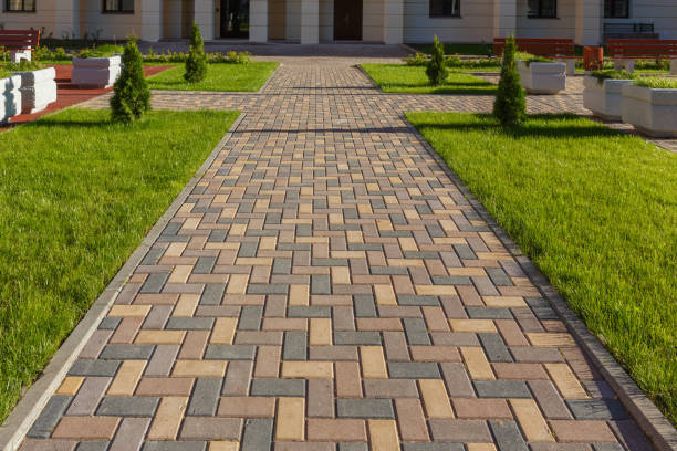 Best Local Driveway Pavers  in Litchfield, MN