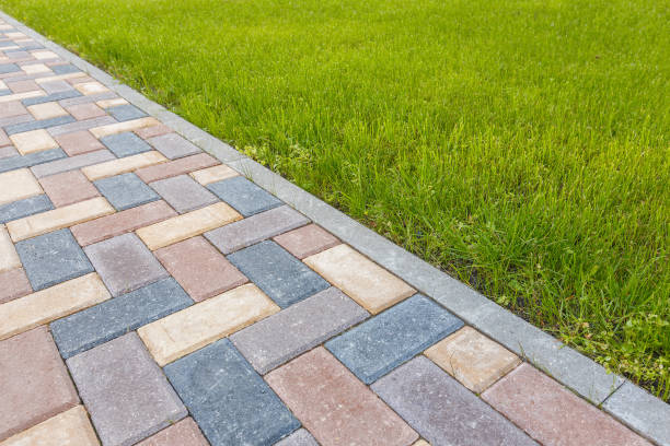 Best Driveway Paving Company  in Litchfield, MN